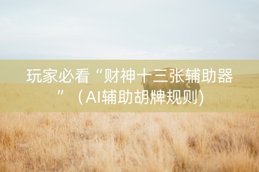 玩家必看“财神十三张辅助器”（AI辅助胡牌规则)