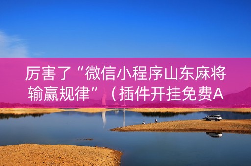 厉害了“微信小程序山东麻将输赢规律”（插件开挂免费AI)