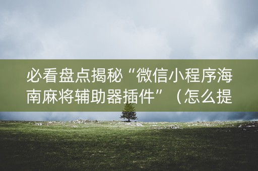 必看盘点揭秘“微信小程序海南麻将辅助器插件”（怎么提高胜率)