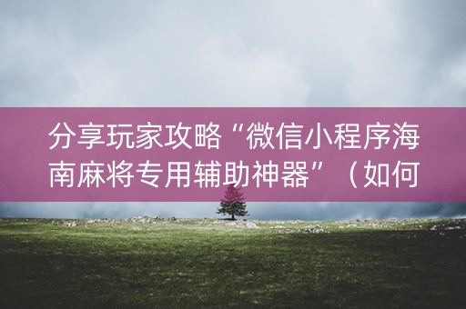 分享玩家攻略“微信小程序海南麻将专用辅助神器”（如何提高胜率)