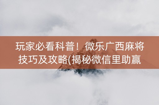 玩家必看科普！微乐广西麻将技巧及攻略(揭秘微信里助赢软件)