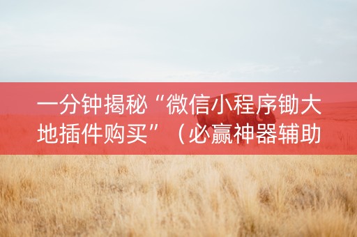 一分钟揭秘“微信小程序锄大地插件购买”（必赢神器辅助器)