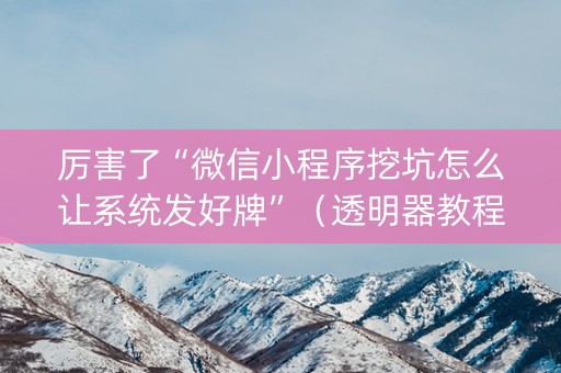 厉害了“微信小程序挖坑怎么让系统发好牌”（透明器教程)