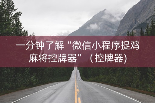 一分钟了解“微信小程序捉鸡麻将控牌器”（控牌器)