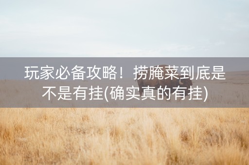 玩家必备攻略！捞腌菜到底是不是有挂(确实真的有挂)