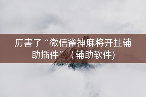 厉害了“微信雀神麻将开挂辅助插件”（辅助软件)