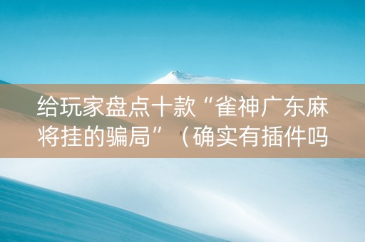 给玩家盘点十款“雀神广东麻将挂的骗局”（确实有插件吗)