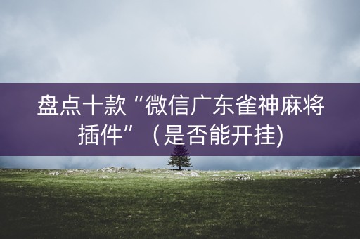 盘点十款“微信广东雀神麻将插件”（是否能开挂)