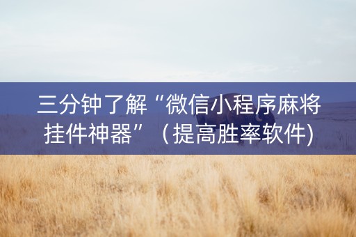 三分钟了解“微信小程序麻将挂件神器”（提高胜率软件)