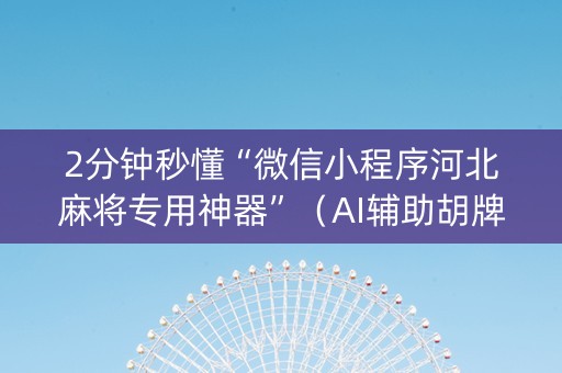 2分钟秒懂“微信小程序河北麻将专用神器”（AI辅助胡牌规则)