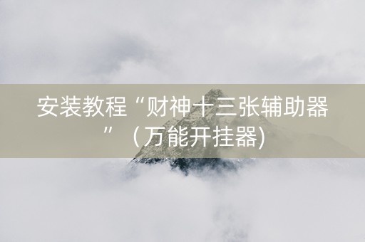 安装教程“财神十三张辅助器”（万能开挂器)