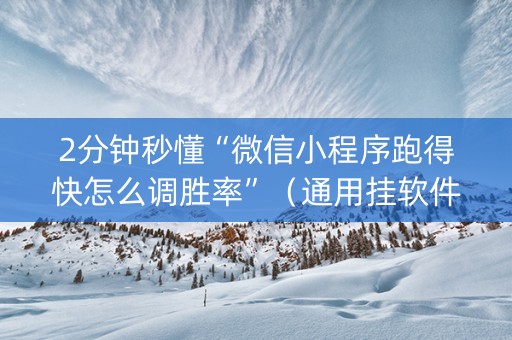 2分钟秒懂“微信小程序跑得快怎么调胜率”（通用挂软件多少钱)