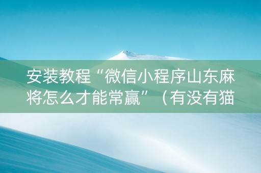 安装教程“微信小程序山东麻将怎么才能常赢”（有没有猫腻)
