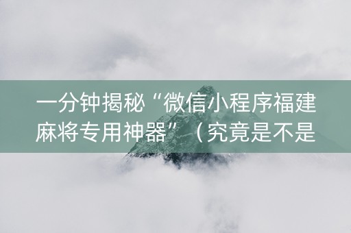 一分钟揭秘“微信小程序福建麻将专用神器”（究竟是不是有挂)