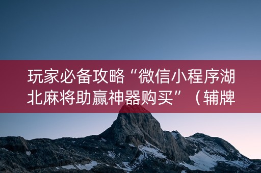 玩家必备攻略“微信小程序湖北麻将助赢神器购买”（辅牌器插件购买)