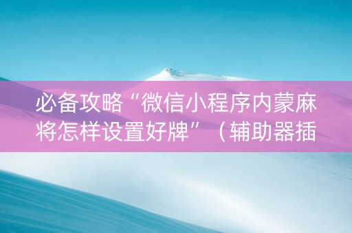 必备攻略“微信小程序内蒙麻将怎样设置好牌”（辅助器插件)