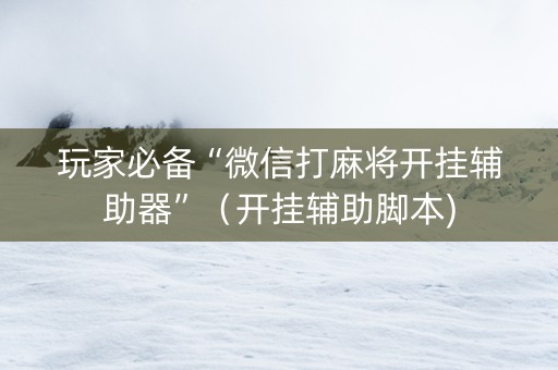 玩家必备“微信打麻将开挂辅助器”（开挂辅助脚本)