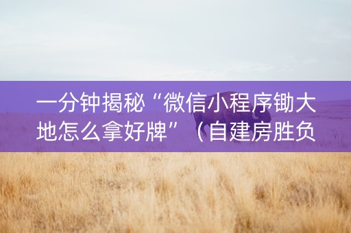 一分钟揭秘“微信小程序锄大地怎么拿好牌”（自建房胜负规律)