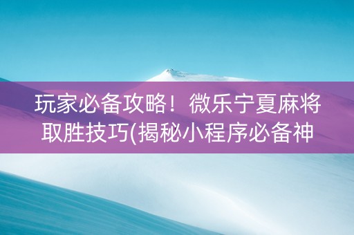 玩家必备攻略！微乐宁夏麻将取胜技巧(揭秘小程序必备神器)
