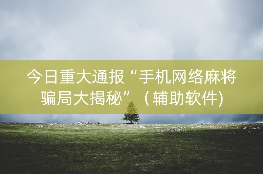今日重大通报“手机网络麻将骗局大揭秘”（辅助软件)