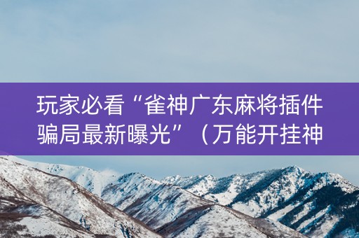 玩家必看“雀神广东麻将插件骗局最新曝光”（万能开挂神器)