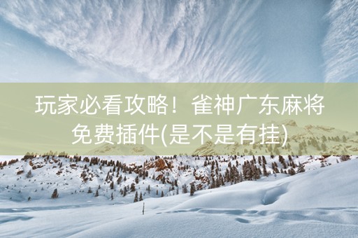 玩家必看攻略！雀神广东麻将免费插件(是不是有挂)