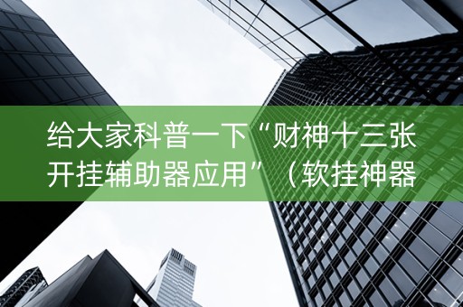 给大家科普一下“财神十三张开挂辅助器应用”（软挂神器)
