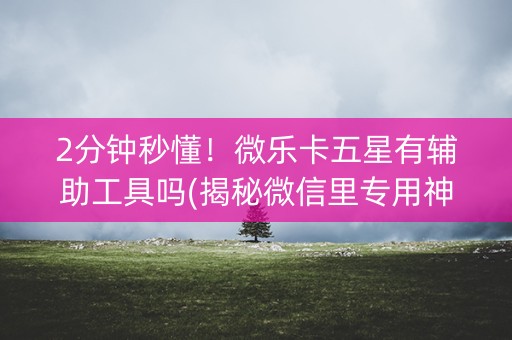 2分钟秒懂！微乐卡五星有辅助工具吗(揭秘微信里专用神器)