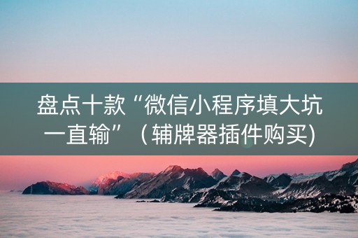 盘点十款“微信小程序填大坑一直输”（辅牌器插件购买)