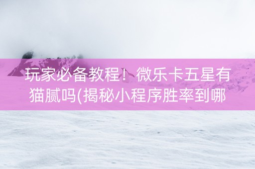 玩家必备教程！微乐卡五星有猫腻吗(揭秘小程序胜率到哪调)