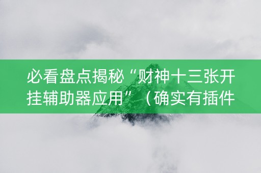 必看盘点揭秘“财神十三张开挂辅助器应用”（确实有插件吗)