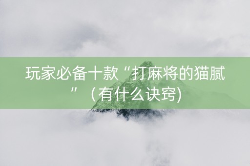 玩家必备十款“打麻将的猫腻”（有什么诀窍)