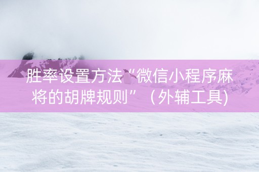 胜率设置方法“微信小程序麻将的胡牌规则”（外辅工具)