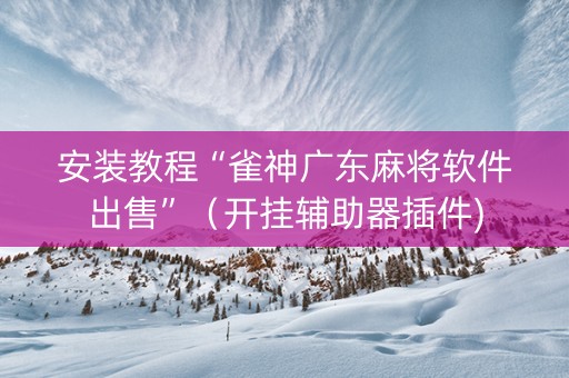 安装教程“雀神广东麻将软件出售”（开挂辅助器插件)