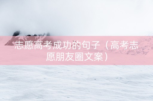 志愿高考成功的句子（高考志愿朋友圈文案）
