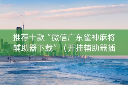 推荐十款“微信广东雀神麻将辅助器下载”（开挂辅助器插件)