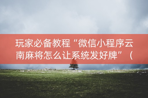 玩家必备教程“微信小程序云南麻将怎么让系统发好牌”(神器最新免费) 玩家必备教程“微信小程序云南麻将怎么让系统发好牌”(神器最新免费)