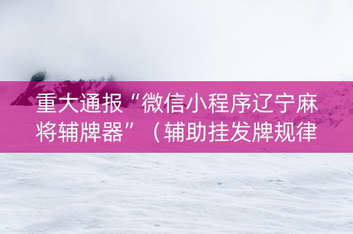 重大通报“微信小程序辽宁麻将辅牌器”（辅助挂发牌规律)