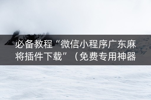 必备教程“微信小程序广东麻将插件下载”（免费专用神器)