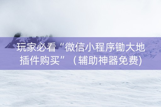 玩家必看“微信小程序锄大地插件购买”(辅助神器免费) 玩家必看“微信小程序锄大地插件购买”(辅助神器免费)