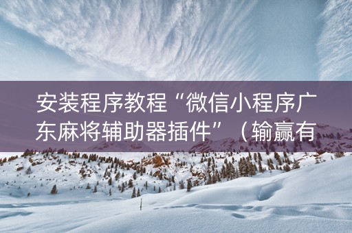 安装程序教程“微信小程序广东麻将辅助器插件”（输赢有什么规律)
