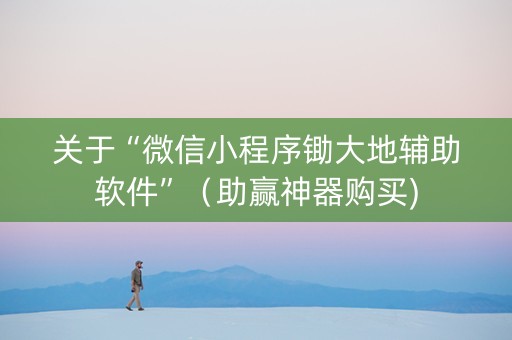 关于“微信小程序锄大地辅助软件”（助赢神器购买)