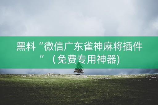 黑料“微信广东雀神麻将插件”（免费专用神器)