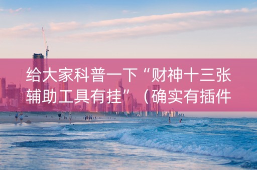 给大家科普一下“财神十三张辅助工具有挂”（确实有插件吗)