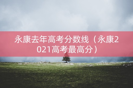 永康去年高考分数线（永康2021高考最高分）