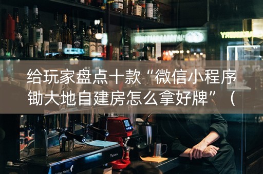 给玩家盘点十款“微信小程序锄大地自建房怎么拿好牌”（输赢有什么规律)