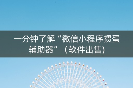 一分钟了解“微信小程序掼蛋辅助器”（软件出售)