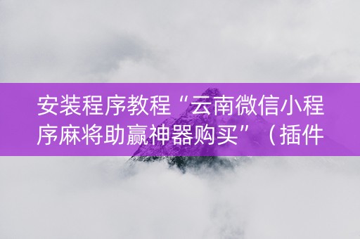 安装程序教程“云南微信小程序麻将助赢神器购买”（插件开挂免费AI)