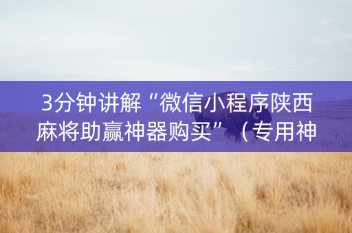 3分钟讲解“微信小程序陕西麻将助赢神器购买”(专用神器下载) 3分钟讲解“微信小程序陕西麻将助赢神器购买”(专用神器下载)