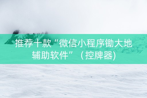 推荐十款“微信小程序锄大地辅助软件”（控牌器)